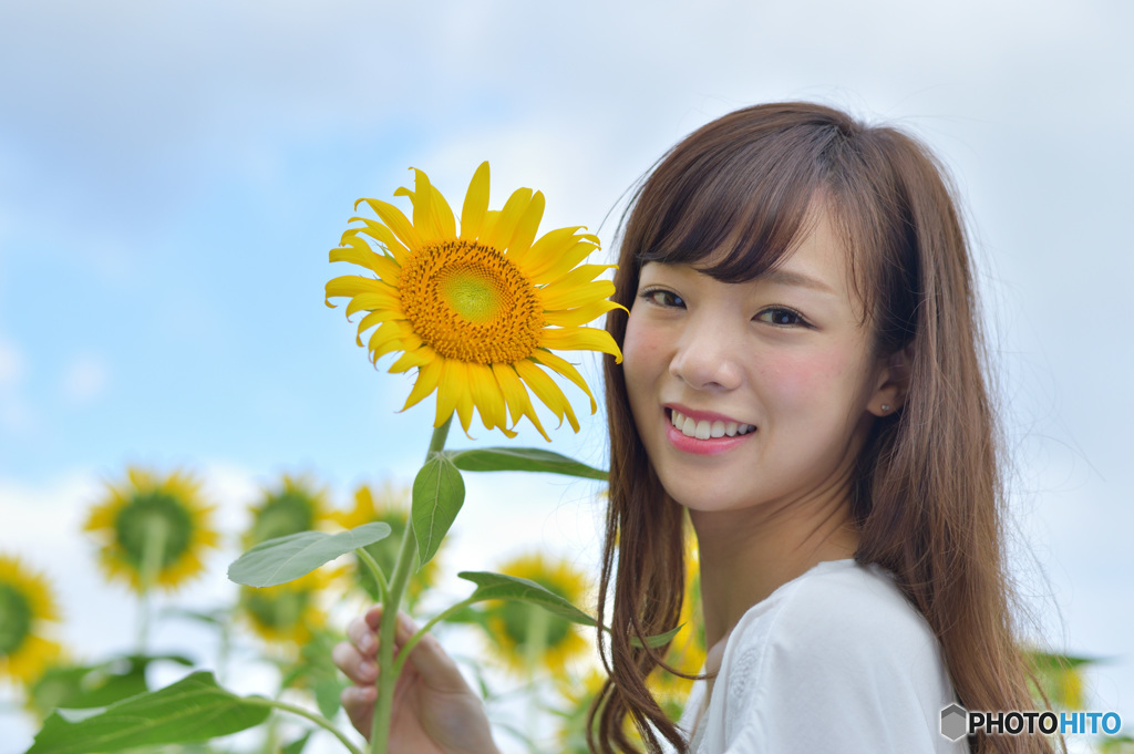 可愛いひまわり