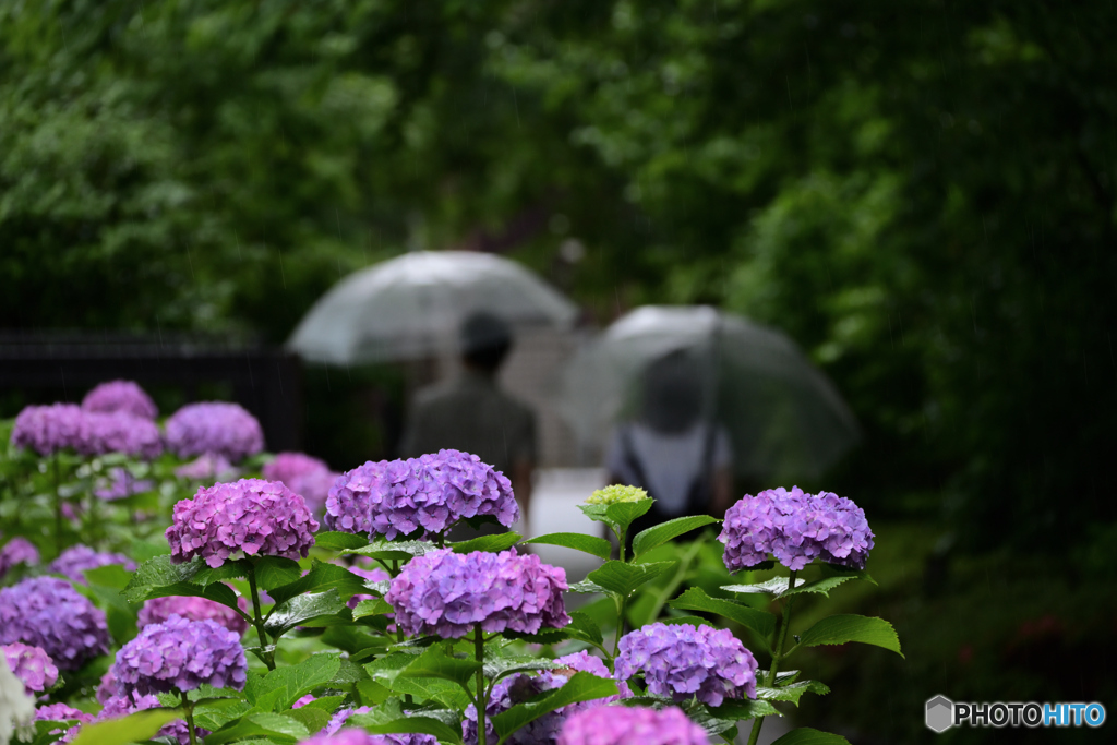 雨の日のデート