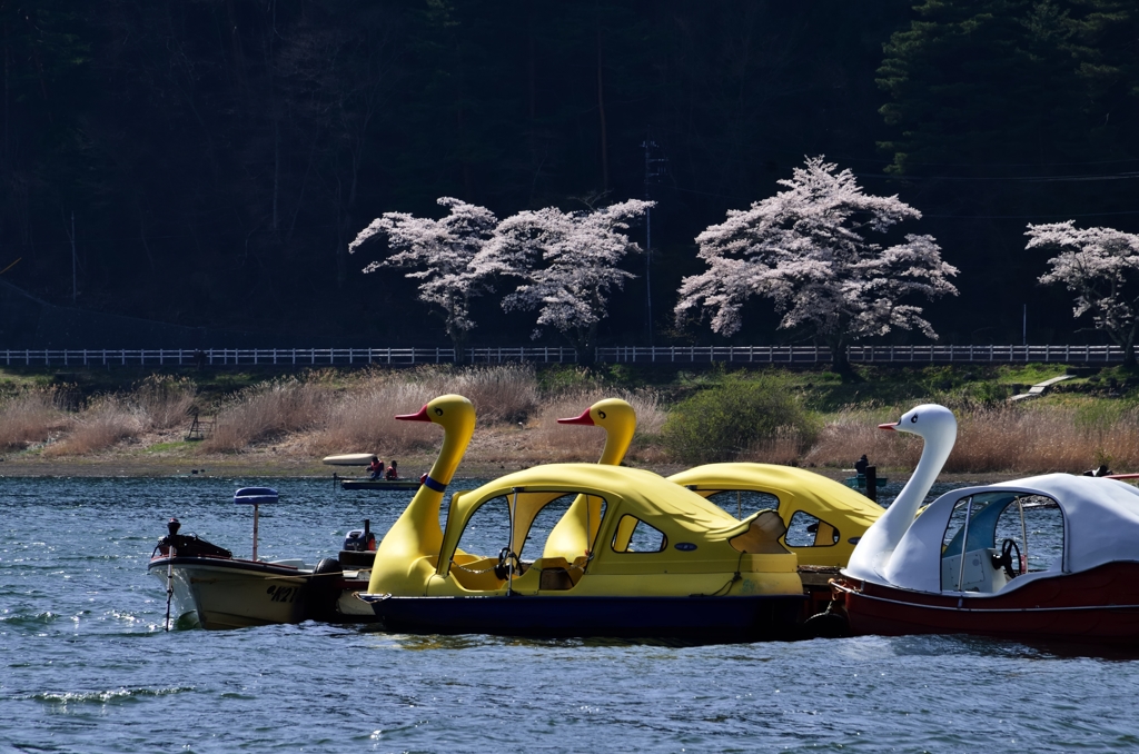 風が止むのを待つボート