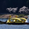 風が止むのを待つボート