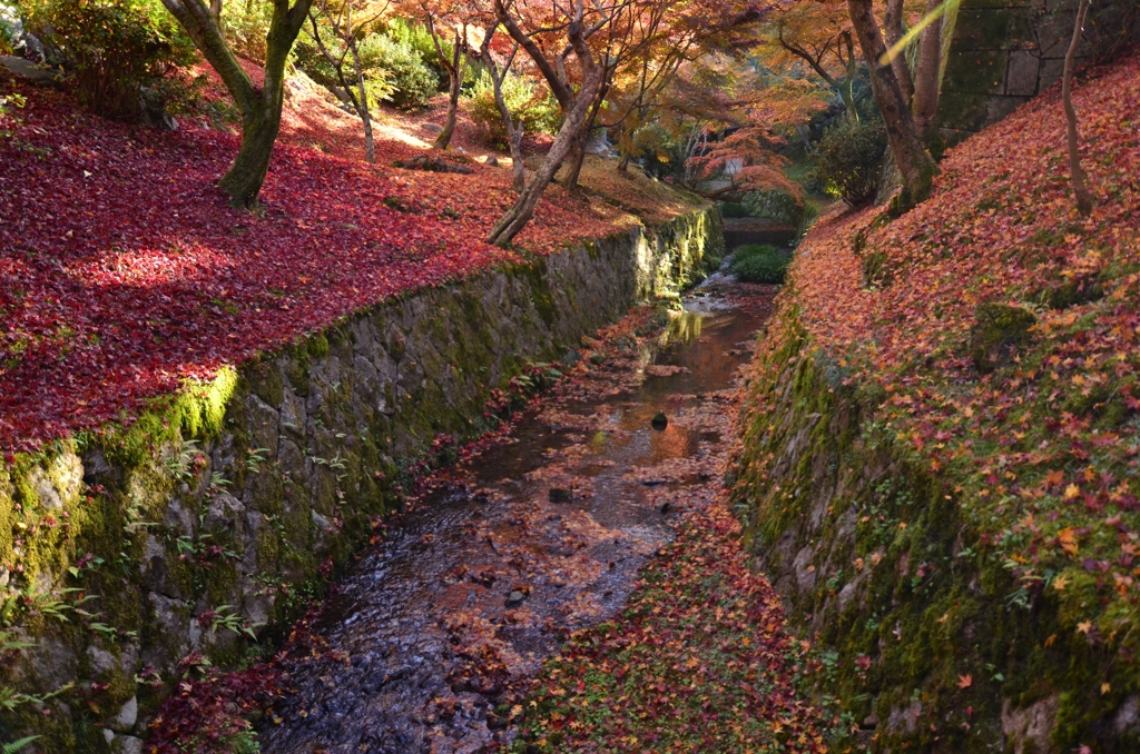 東福寺１