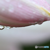 雨の日の楽しみ3