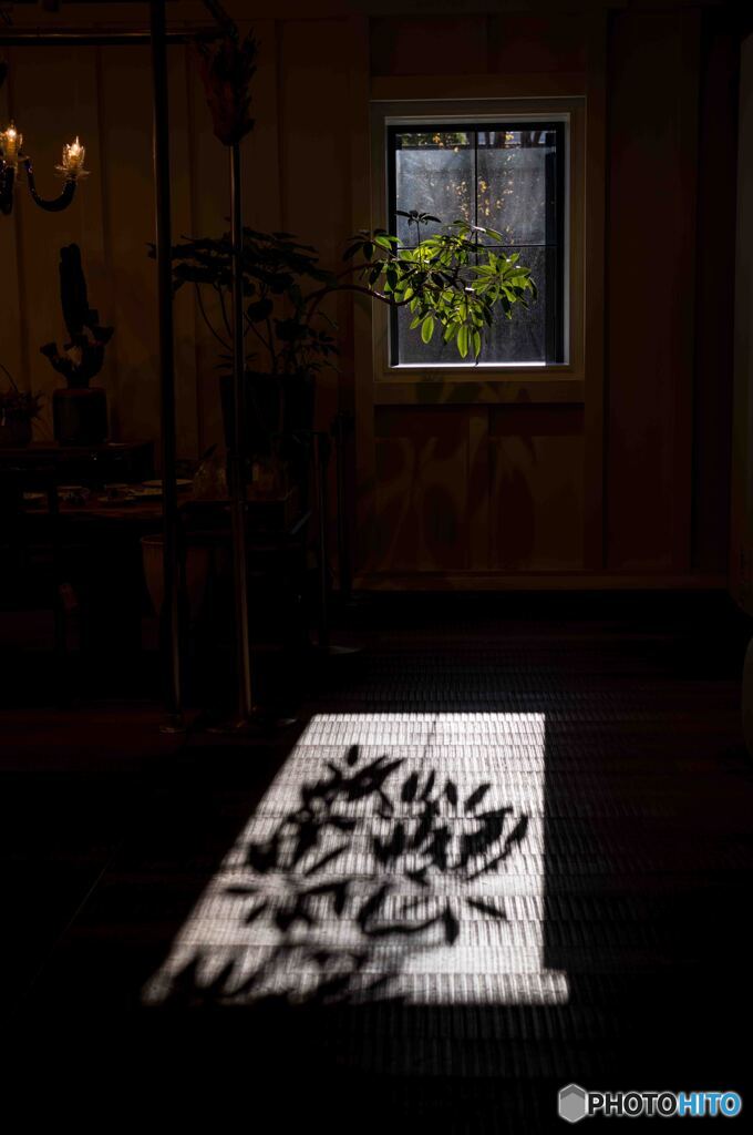 窓の光