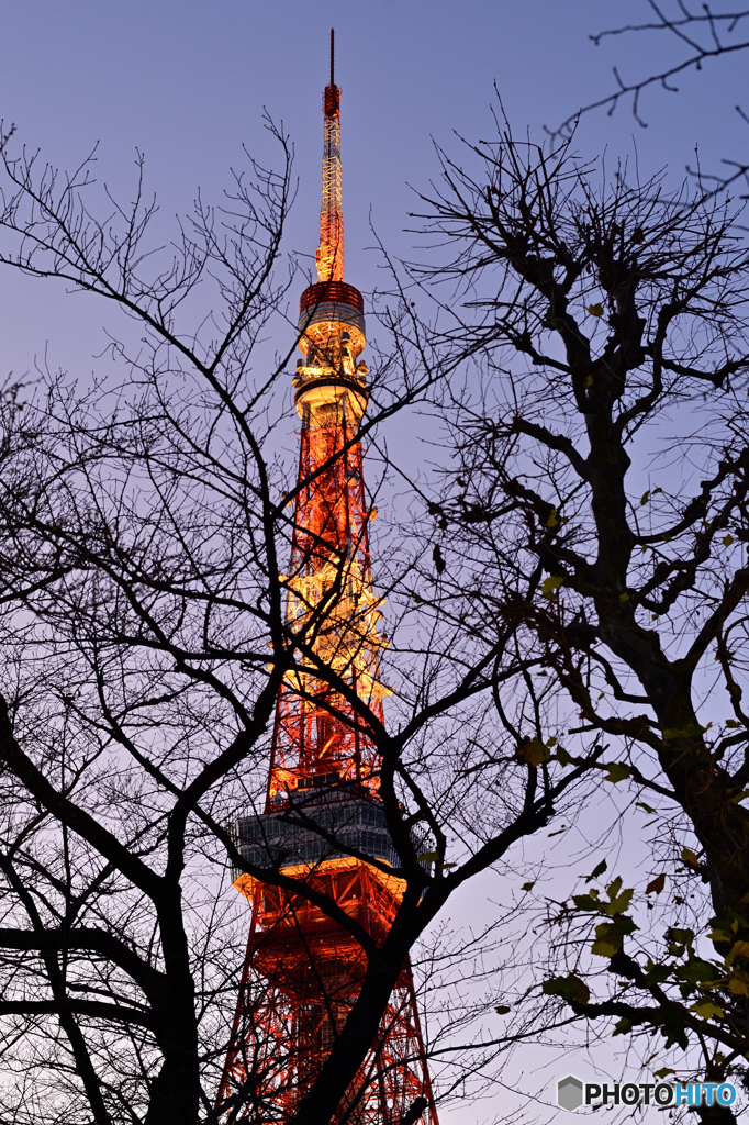 東京タワー