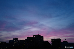 The purple sky at sunset