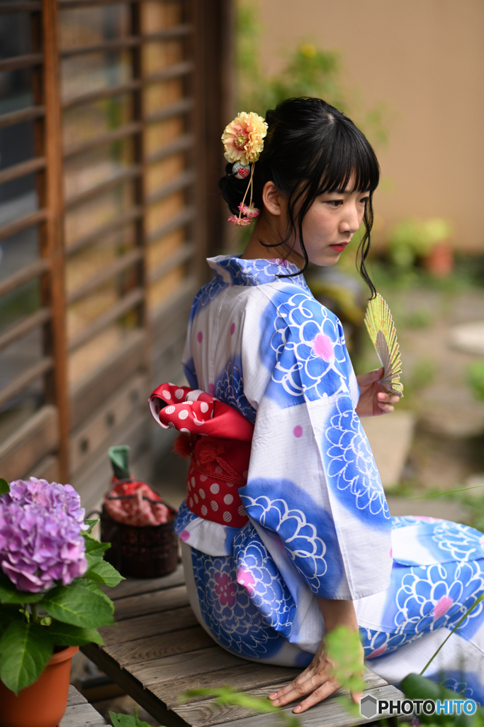 浴衣と紫陽花2