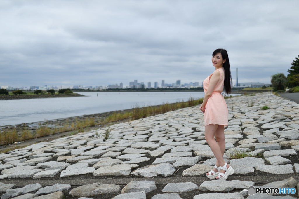 東京湾を望む３