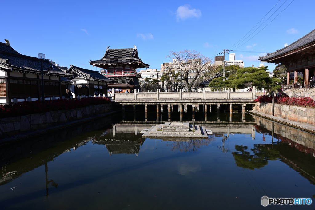 亀の池