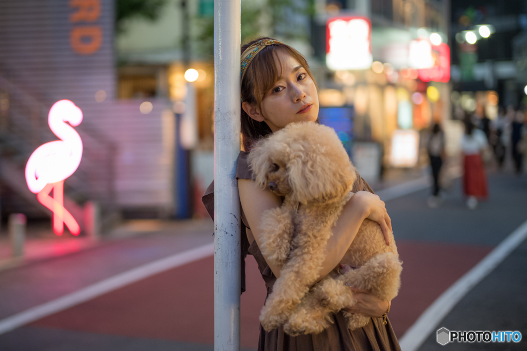 キャットストリート
