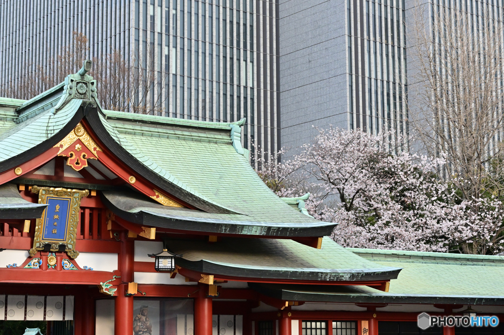 都会の神社