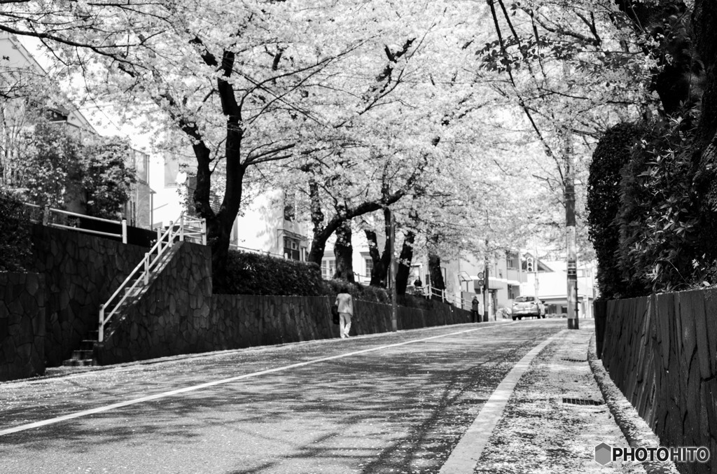 桜坂通り