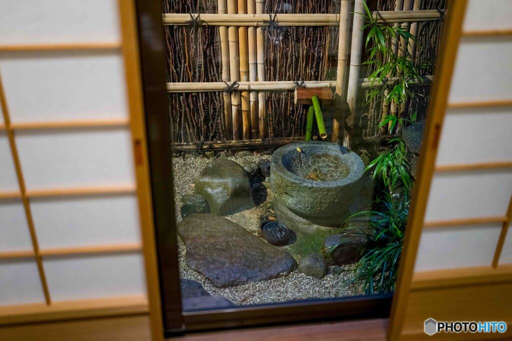 部屋から見える庭