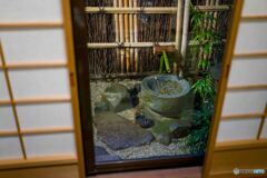 部屋から見える庭
