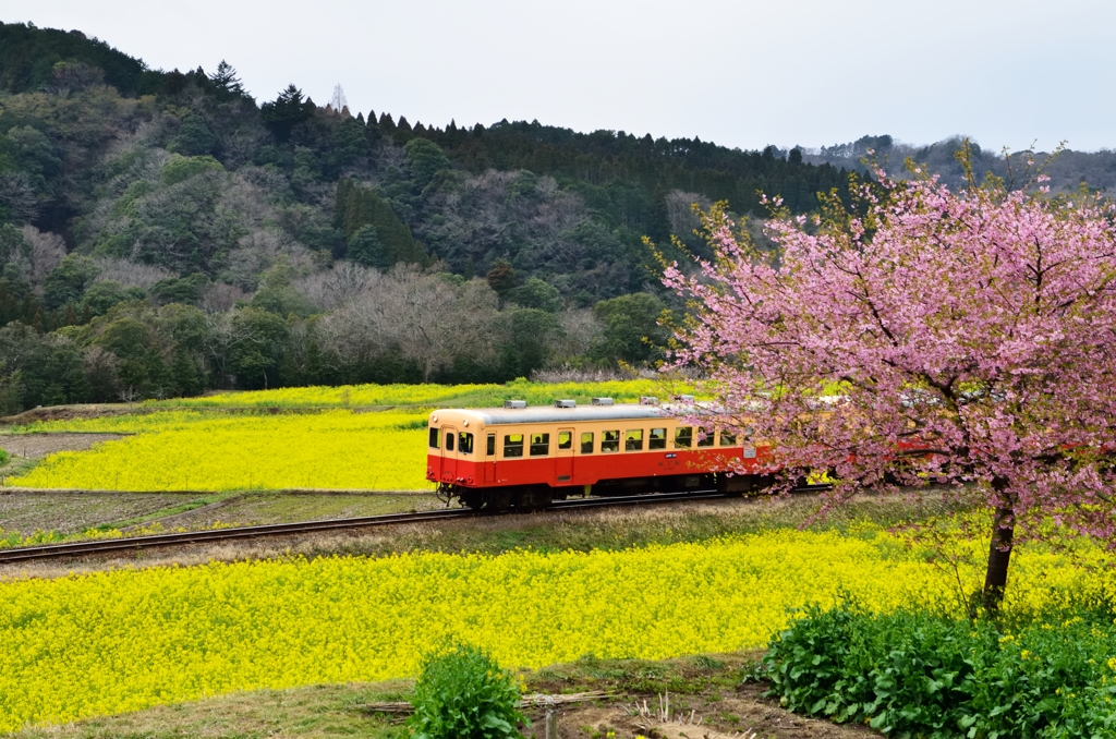小湊鉄道1