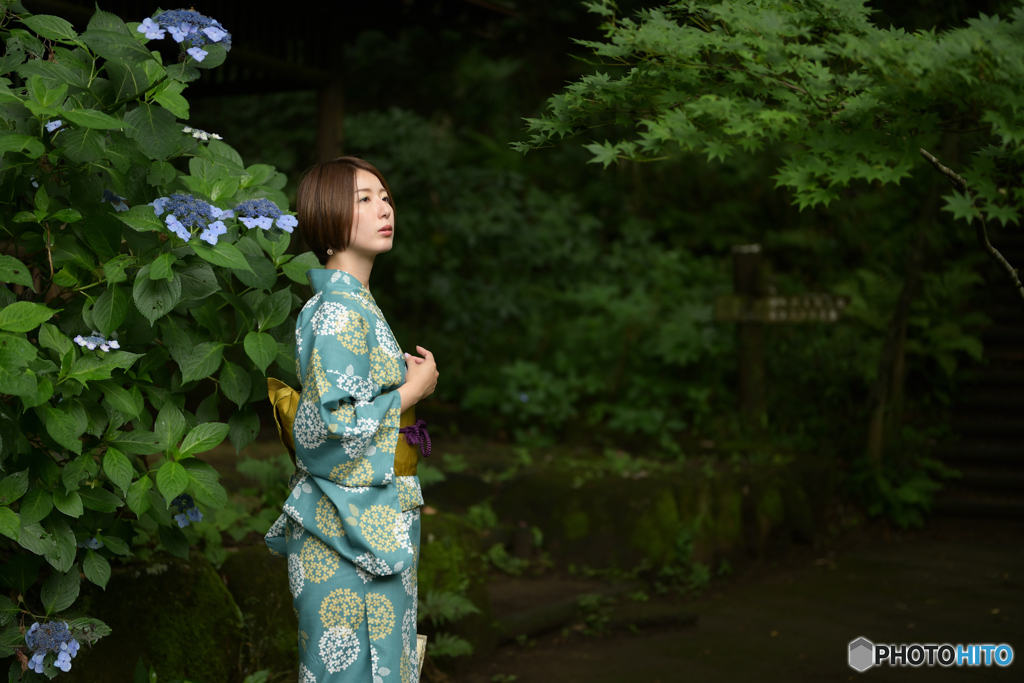 紫陽花とべっぴんさん