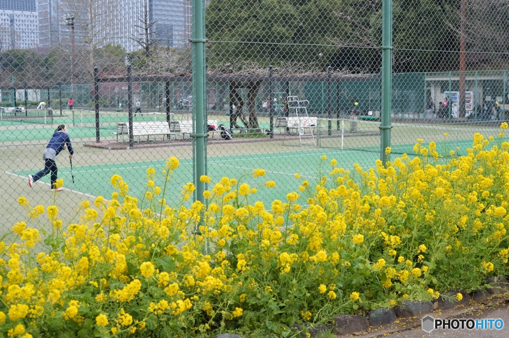 舞台は春だがウエアは寒そう