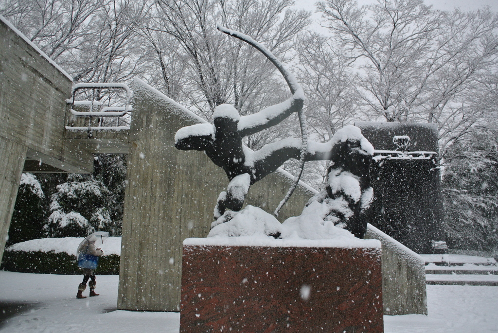 大雪情報５