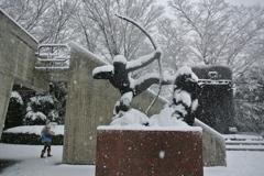 大雪情報５