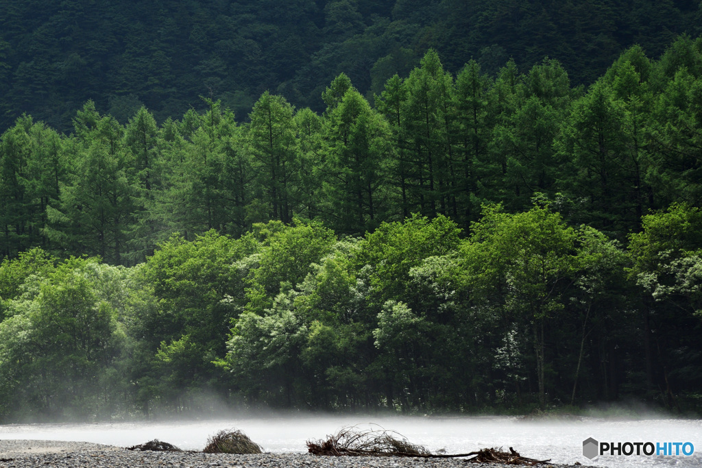 梓川の朝靄