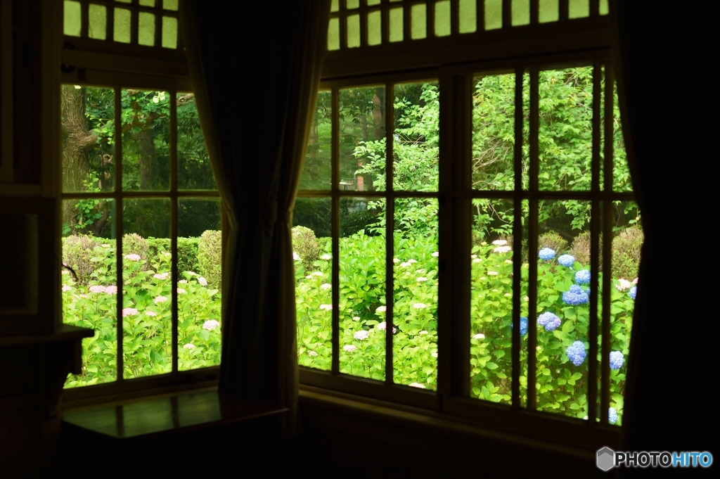 田園調布の家