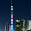 夜の展望