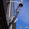 谷中さんぽ