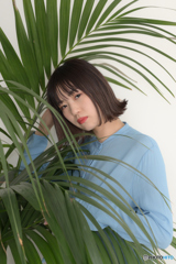 葉っぱ