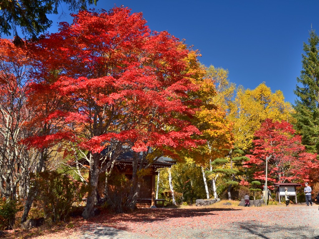紅葉の観音堂