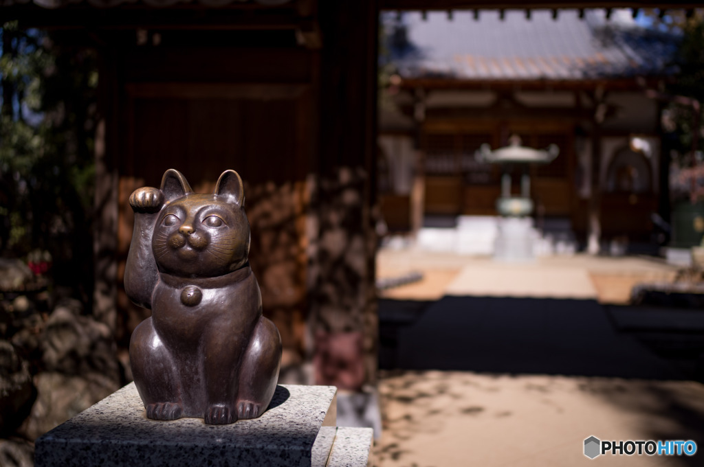 豪徳寺2