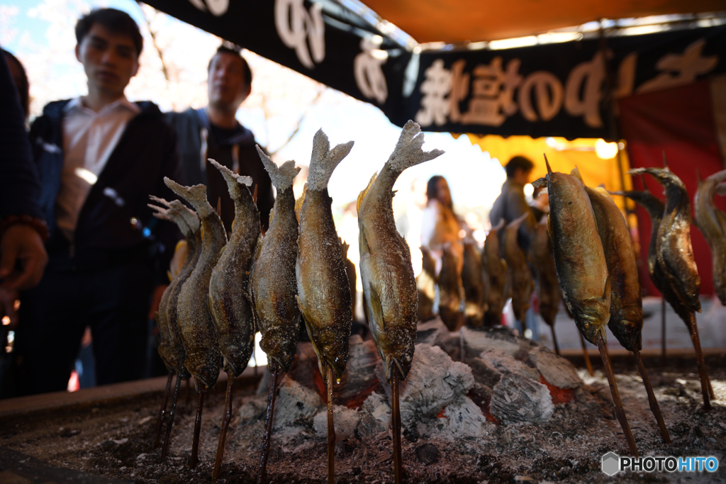 食後の一枚