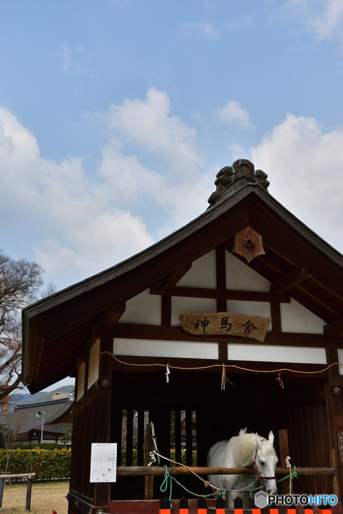 上賀茂神社 四