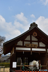 上賀茂神社 四