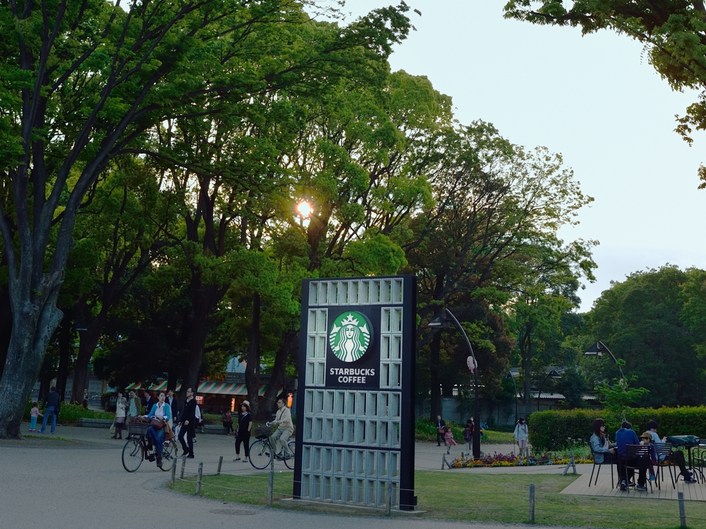黄昏のスタバ