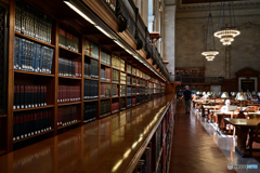 The New York Public Library 6