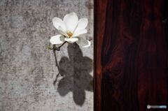 木彫りの花