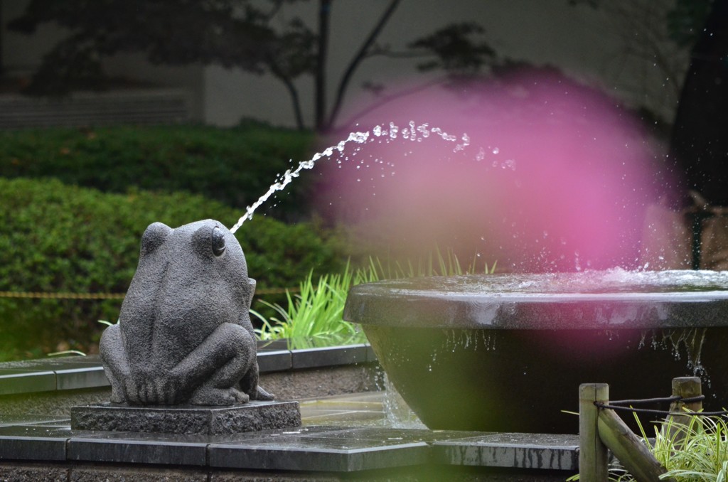 雨の日のお出迎え