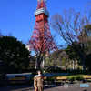 東京タワー2