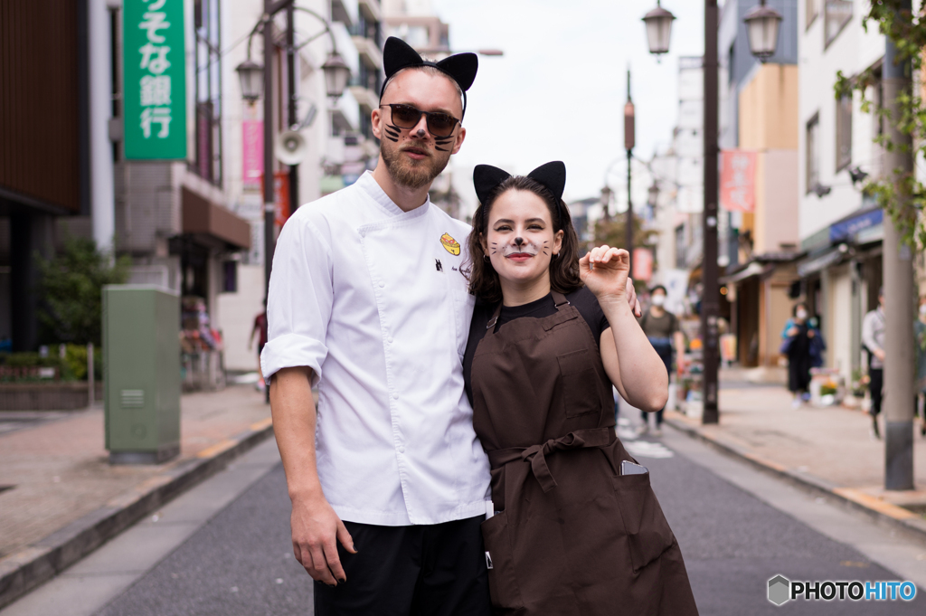 ケーキ屋さんの猫