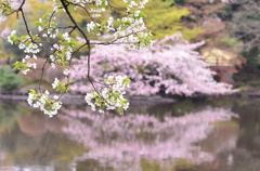 春からのチュッ♪