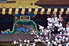 湯島天神３