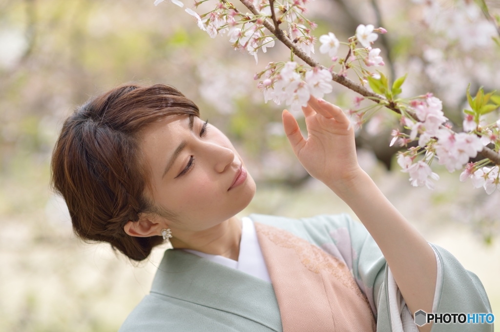 桜と着物べっぴんさん３
