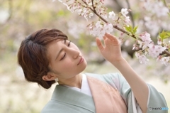桜と着物べっぴんさん３