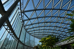 大温室内