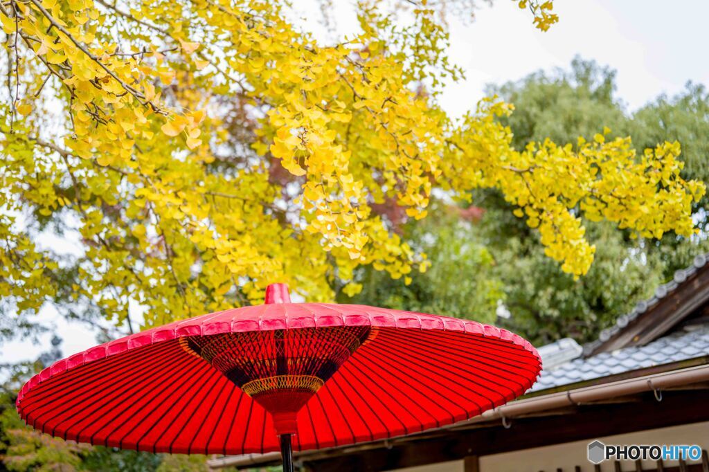 清涼寺2