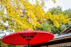 清涼寺2