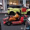 一度乗ってみたい