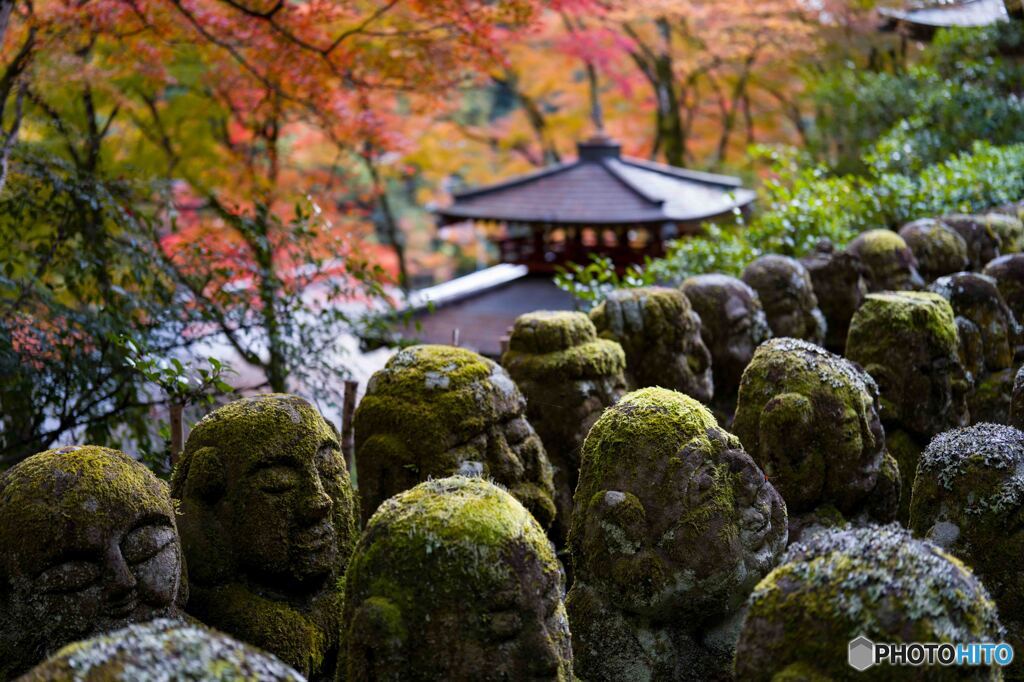 愛宕念仏寺2