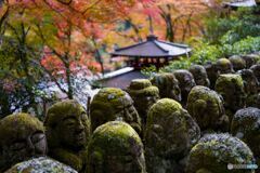 愛宕念仏寺2