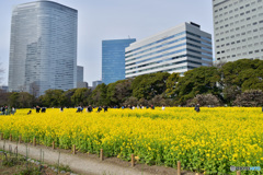 ビルヂングとお花畑