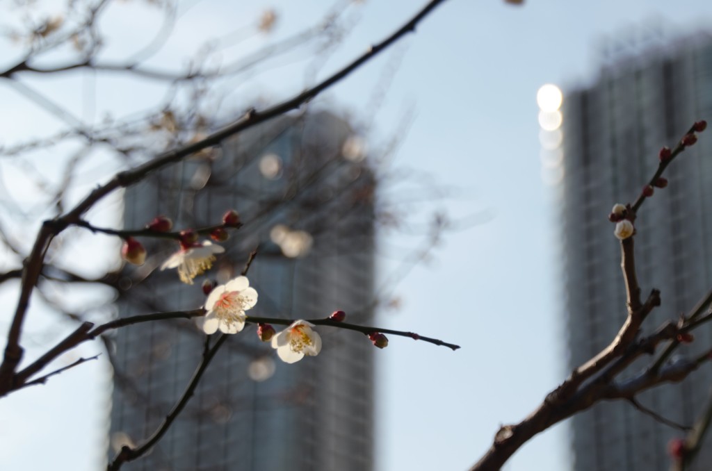 花木園